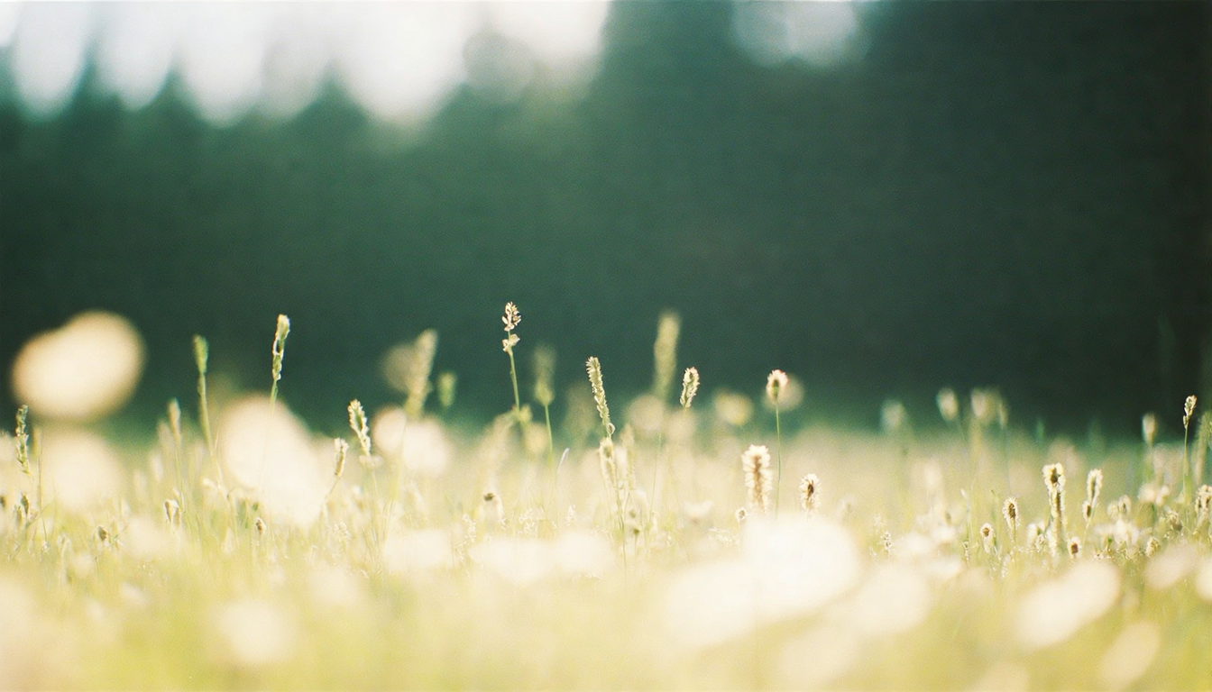 Kupferstieg Erstattungsstelle